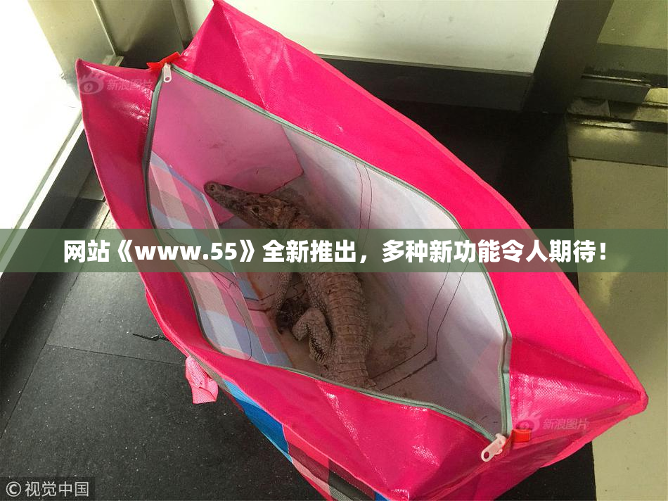 网站《www.55》全新推出，多种新功能令人期待！