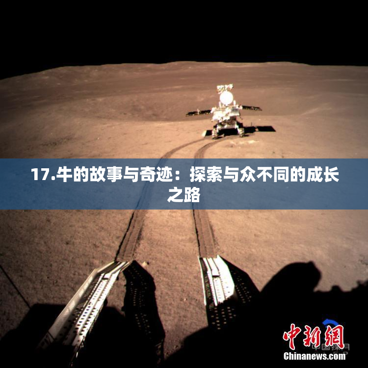 17.牛的故事与奇迹：探索与众不同的成长之路
