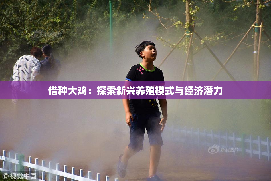 借种大鸡：探索新兴养殖模式与经济潜力