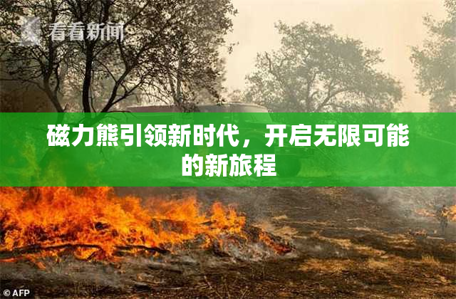 磁力熊引领新时代，开启无限可能的新旅程