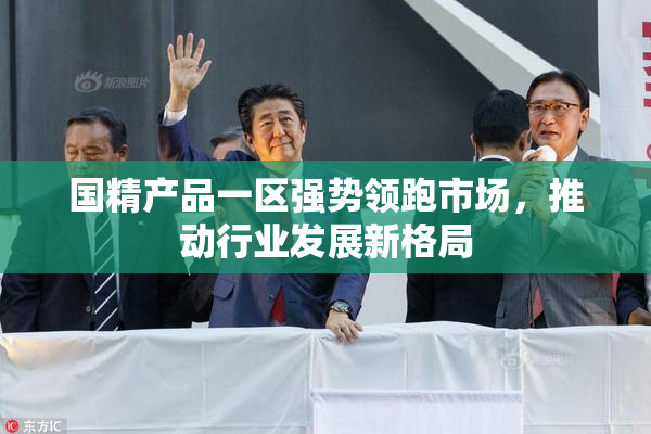 国精产品一区强势领跑市场，推动行业发展新格局