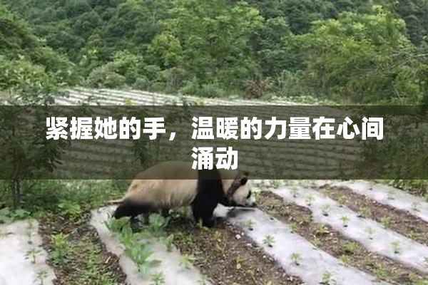 紧握她的手，温暖的力量在心间涌动