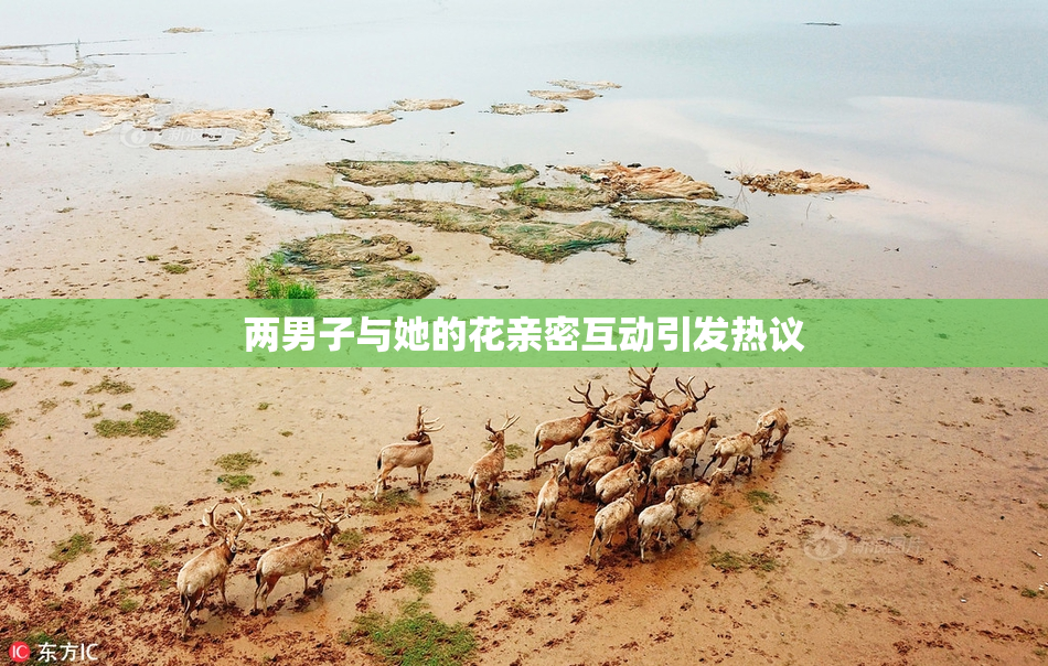 两男子与她的花亲密互动引发热议
