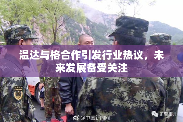 温达与格合作引发行业热议，未来发展备受关注