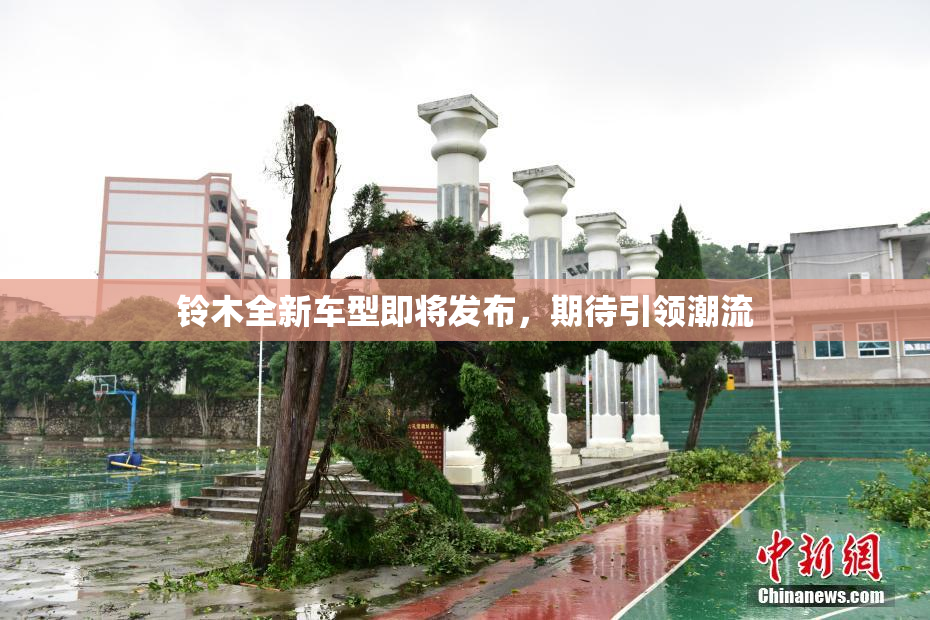 铃木全新车型即将发布，期待引领潮流