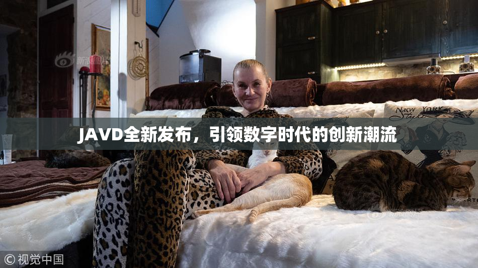 JAVD全新发布，引领数字时代的创新潮流