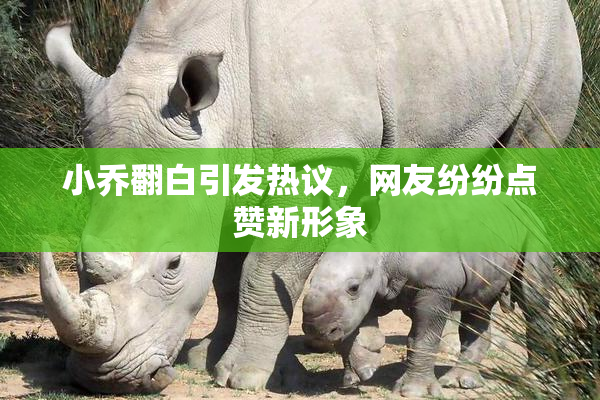 小乔翻白引发热议，网友纷纷点赞新形象