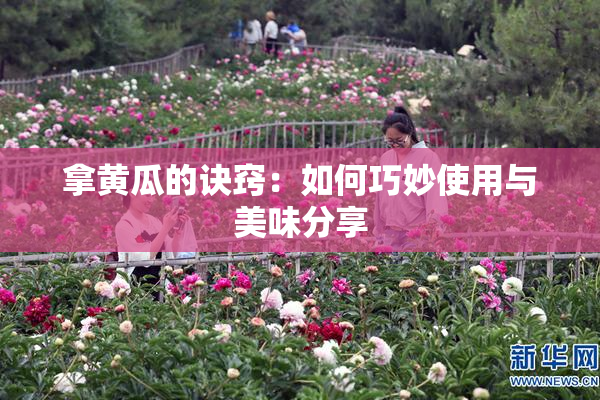 拿黄瓜的诀窍：如何巧妙使用与美味分享