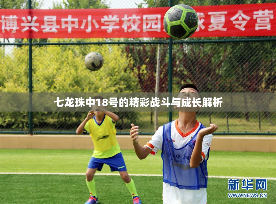 七龙珠中18号的精彩战斗与成长解析