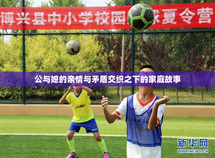 公与媳的亲情与矛盾交织之下的家庭故事