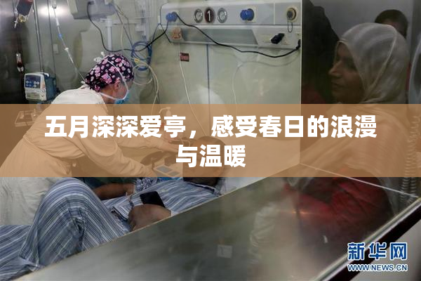 五月深深爱亭，感受春日的浪漫与温暖