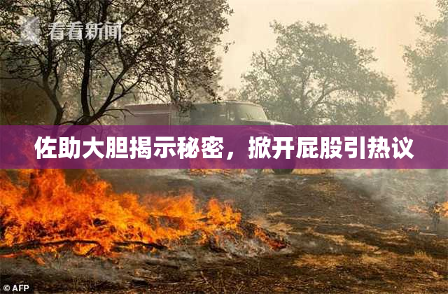佐助大胆揭示秘密，掀开屁股引热议