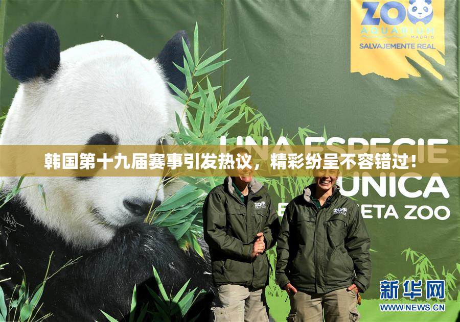 韩国第十九届赛事引发热议，精彩纷呈不容错过！