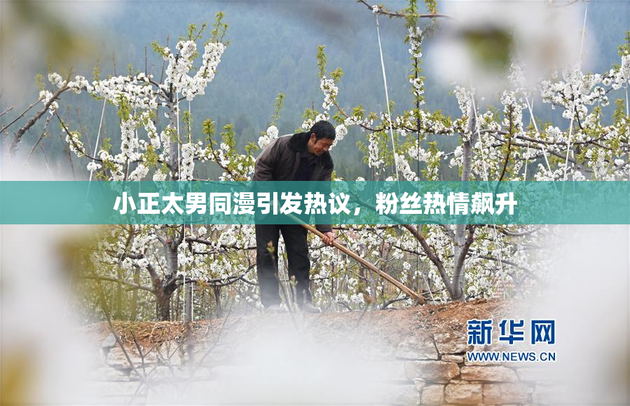 小正太男同漫引发热议，粉丝热情飙升