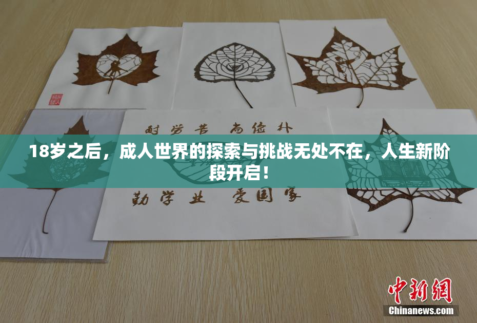 18岁之后，成人世界的探索与挑战无处不在，人生新阶段开启！