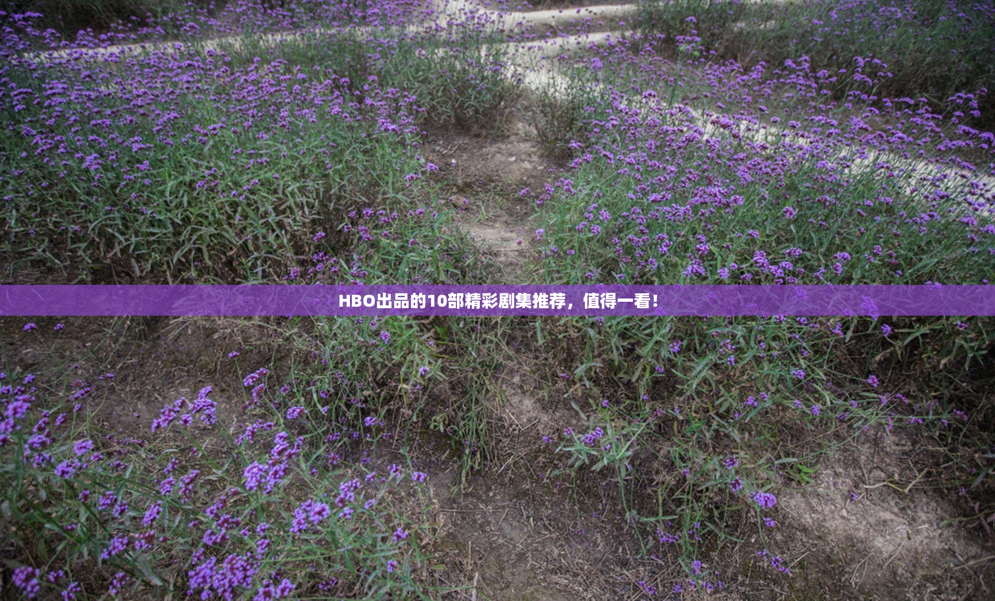 HBO出品的10部精彩剧集推荐，值得一看！