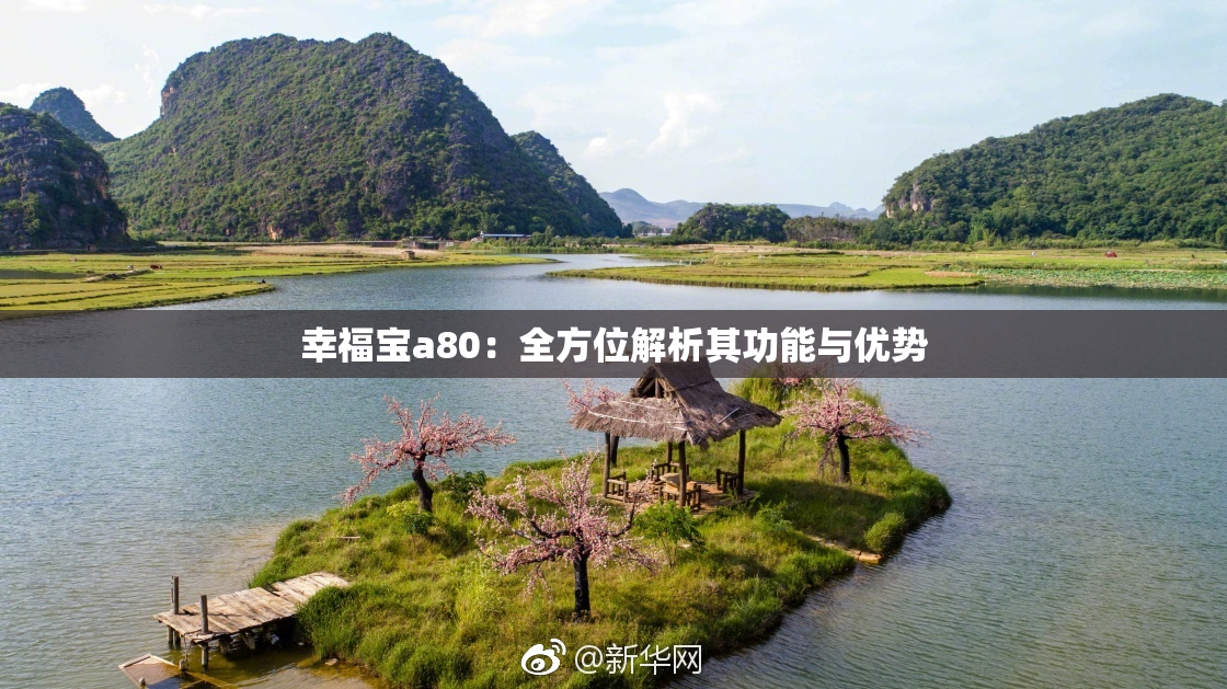 幸福宝a80：全方位解析其功能与优势