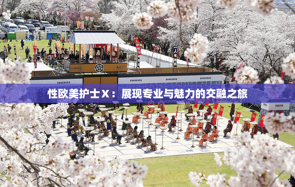 性欧美护士Ⅹ：展现专业与魅力的交融之旅