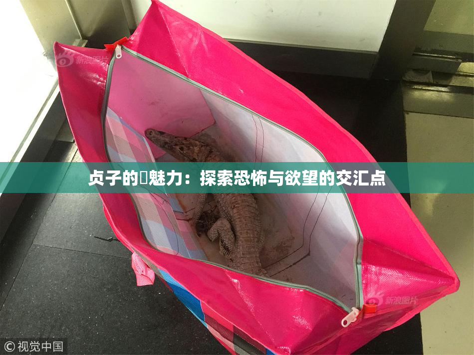 贞子的婬魅力：探索恐怖与欲望的交汇点