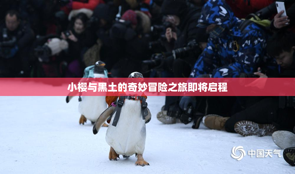 小樱与黑土的奇妙冒险之旅即将启程