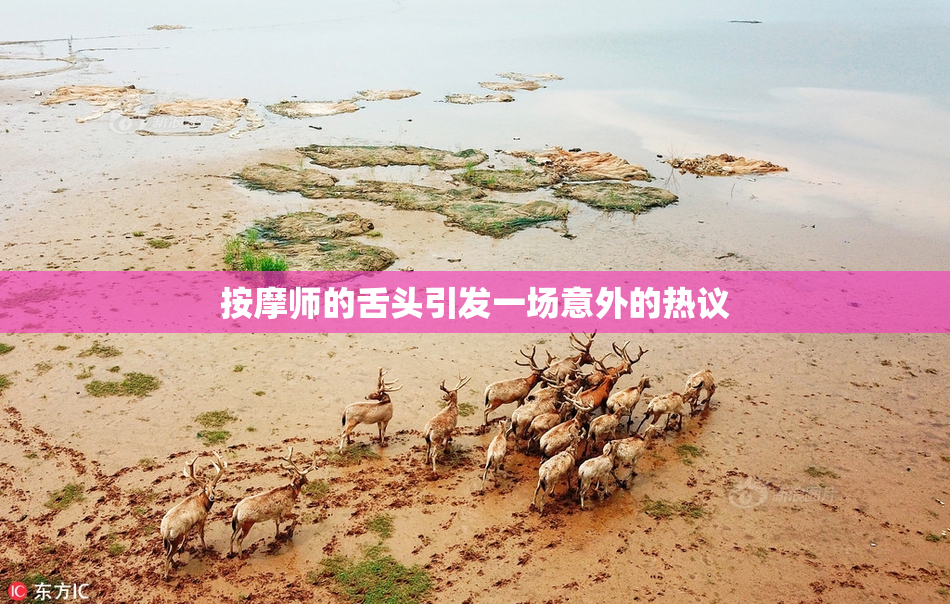 按摩师的舌头引发一场意外的热议