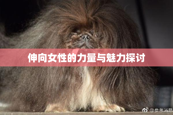 伸向女性的力量与魅力探讨