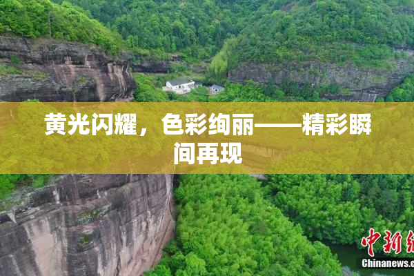 黄光闪耀，色彩绚丽——精彩瞬间再现