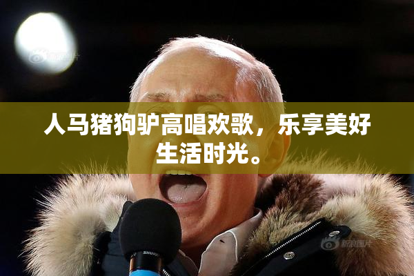 人马猪狗驴高唱欢歌，乐享美好生活时光。