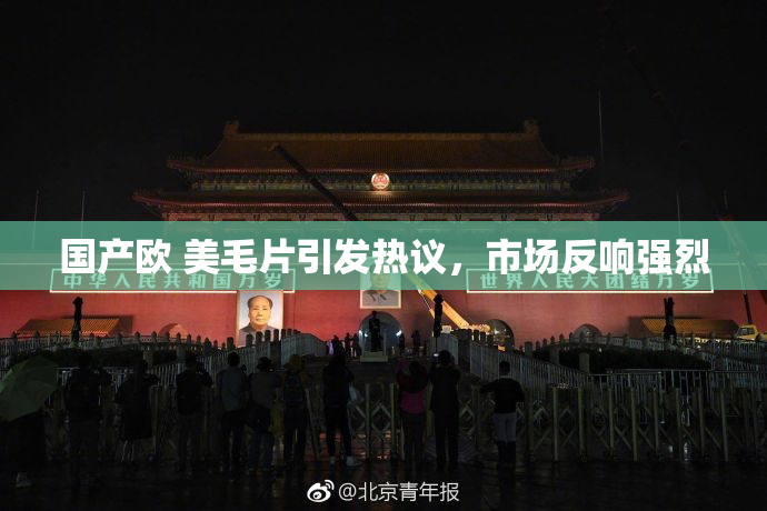 国产欧 美毛片引发热议，市场反响强烈