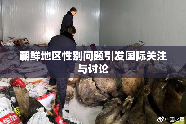 朝鲜地区性别问题引发国际关注与讨论