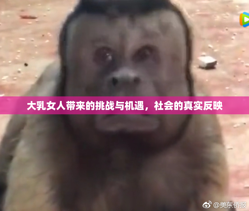 大乳女人带来的挑战与机遇，社会的真实反映
