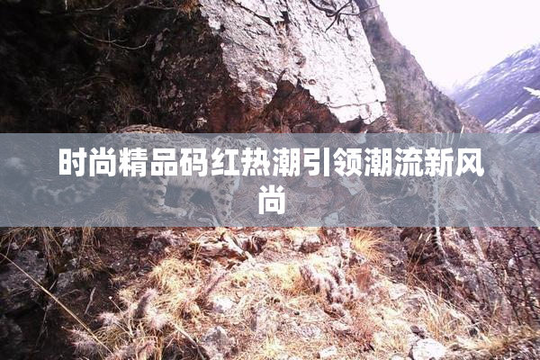 时尚精品码红热潮引领潮流新风尚