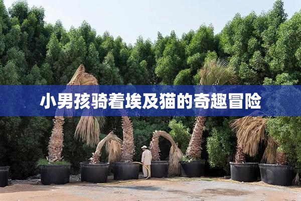 小男孩骑着埃及猫的奇趣冒险