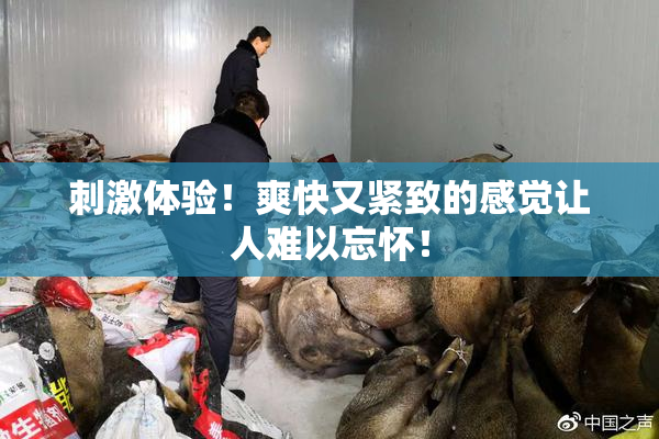 刺激体验！爽快又紧致的感觉让人难以忘怀！