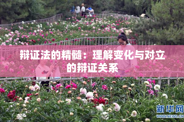 辩证法的精髓：理解变化与对立的辩证关系