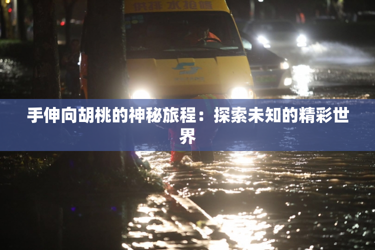 手伸向胡桃的神秘旅程：探索未知的精彩世界