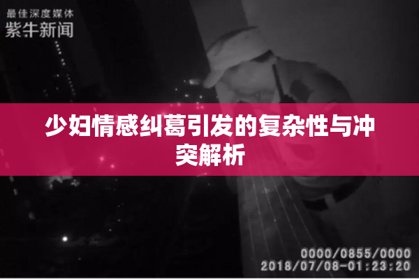 少妇情感纠葛引发的复杂性与冲突解析