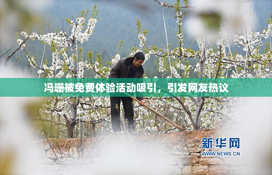 冯珊被免费体验活动吸引，引发网友热议