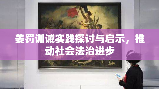 姜罚训诫实践探讨与启示，推动社会法治进步