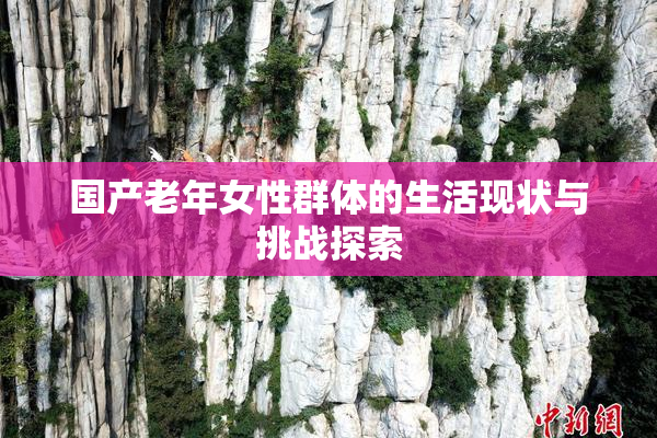 国产老年女性群体的生活现状与挑战探索