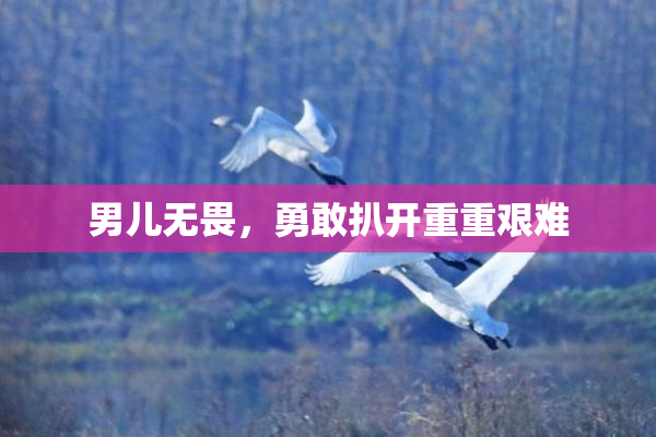 男儿无畏，勇敢扒开重重艰难
