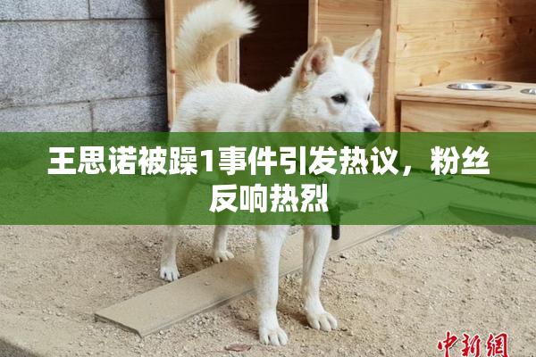王思诺被躁1事件引发热议，粉丝反响热烈