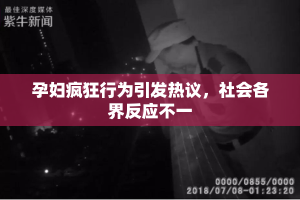 孕妇疯狂行为引发热议，社会各界反应不一