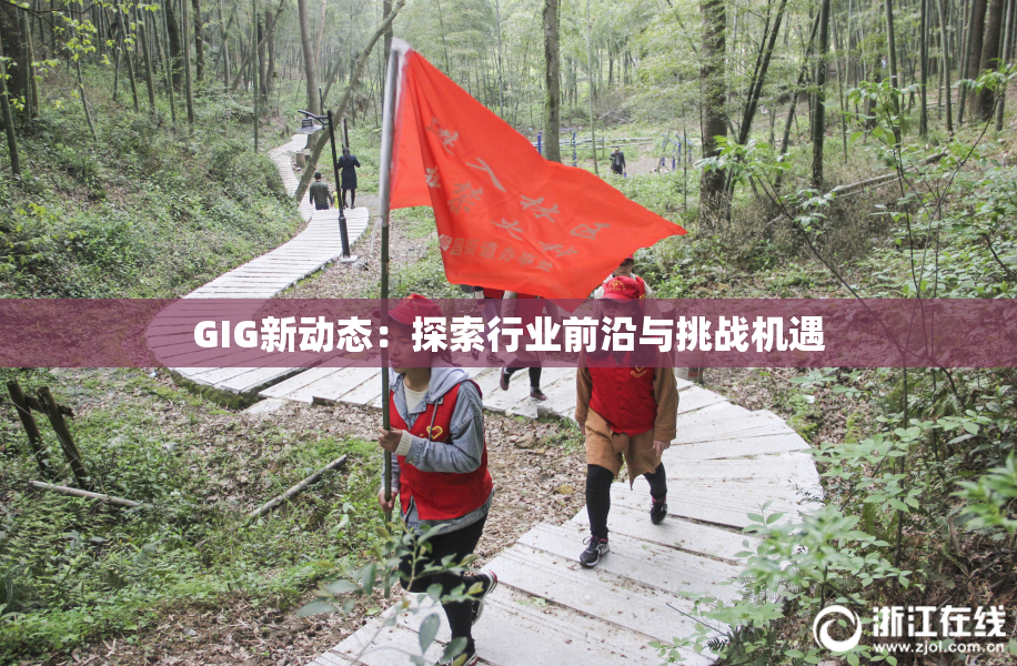 GIG新动态：探索行业前沿与挑战机遇