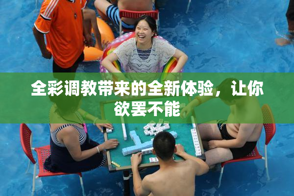 全彩调教带来的全新体验，让你欲罢不能
