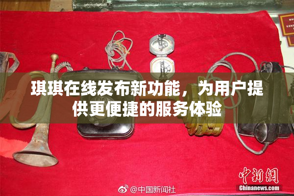 琪琪在线发布新功能，为用户提供更便捷的服务体验