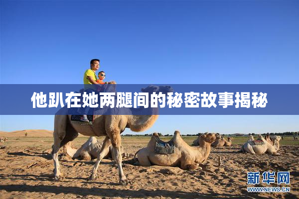 他趴在她两腿间的秘密故事揭秘