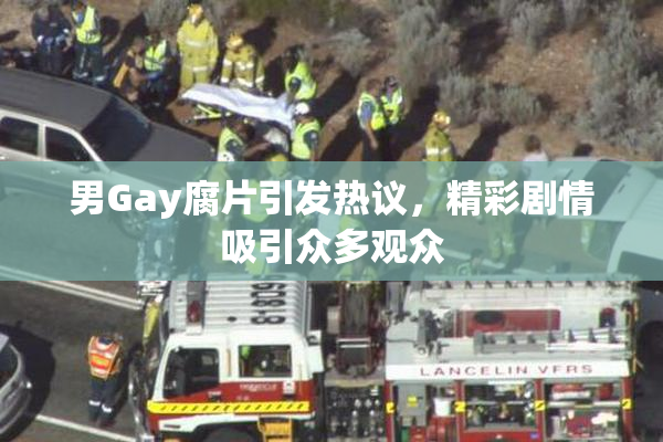 男Gay腐片引发热议，精彩剧情吸引众多观众