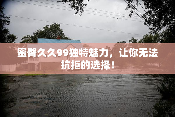 蜜臀久久99独特魅力，让你无法抗拒的选择！