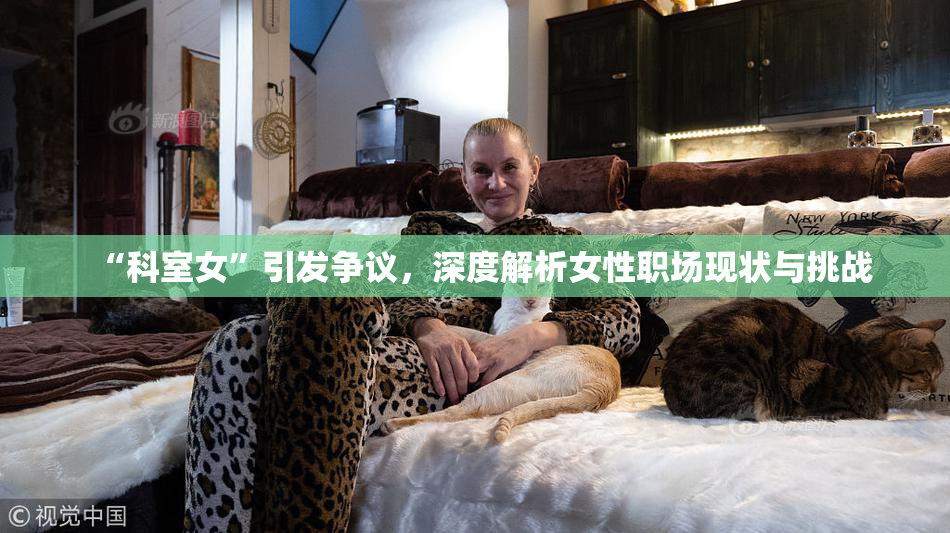 “科室女”引发争议，深度解析女性职场现状与挑战